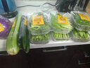 小湯山 油菜苗 約150g 新鮮蔬菜基地種植當(dāng)天采摘 曬單實拍圖