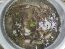龍王恨魚(yú)餌野戰藍鯽速攻九一八餌料拉絲粉老三樣大野戰腥香鯽魚(yú)餌料配方 鯽鯉草青通殺+高品拉絲粉 曬單實(shí)拍圖