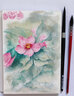 NEEF紅胖子水彩筆117#畫(huà)筆松鼠毛水彩畫(huà)筆繪畫(huà)筆 117-000#（適合32開(kāi)以下） 曬單實(shí)拍圖