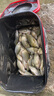 希格曼魚(yú)線(xiàn)伴碳釣魚(yú)線(xiàn)半碳素線(xiàn)釣羅非專(zhuān)用線(xiàn)飛磕競技黑坑釣線(xiàn)耐磨漁線(xiàn) 伴碳3代子系子線(xiàn)60米 0.8 曬單實(shí)拍圖
