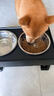 寵六一 寵物飯桌 高度可調(diào)節(jié) 貓咪狗狗 不銹鋼 食碗水碗 飯盆水盆 不銹鋼雙碗直徑19cm 曬單實拍圖