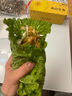 鹿凌青白菜葉飯包東北大白菜葉子新鮮蘸醬蔬菜大飯包打飯包菜葉發(fā)順豐 10片菜葉加發(fā)1袋醬 曬單實(shí)拍圖