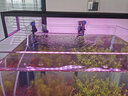 歐亞瑟外置過濾桶德國進(jìn)口魚缸過濾器過濾設(shè)備水族箱草缸烏龜缸凈水器 T250(內(nèi)置加熱棒)+11W殺菌燈 曬單實拍圖
