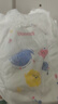好奇（Huggies）金裝拉拉褲XXL74(15kg以上)尿不濕【速干不易紅】 曬單實拍圖