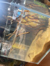 YEE鱼缸金晶超白鱼缸客厅桌面小鱼缸玻璃草缸龟缸家用小型生态金鱼缸   220*160*170【过滤套餐】 实拍图