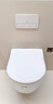 唯寶(Villeroy&Boch)原裝進口馬桶 艾萬托系列壁掛馬桶 省空間易打理 【 普通壁掛】直旋沖水+CPlus釉面 曬單實拍圖