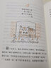 小貓凱蒂和她的四條命 精裝 學生課外閱讀 推薦閱讀 兒童文學 圖書 曬單實拍圖