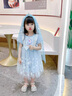mlgt kids童裝女童愛莎公主裙2025夏季禮服女孩連衣裙兒童網(wǎng)紗裙子 藍色 連衣裙+網(wǎng)紗發(fā)箍 90 cm（建議80-90cm1-2周歲左右） 曬單實拍圖