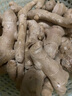 山東新鮮大姜超市生鮮蔬菜老姜即食水果生姜水洗凈姜 山東大姜凈重1斤 曬單實(shí)拍圖