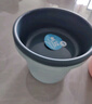 茶花手提水桶家用加厚塑料洗衣桶儲水用桶洗車圓桶桶洗衣桶拖把桶 藍色水桶+藍色臉盆 曬單實拍圖