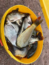 渤洋多功能不銹鋼炮臺支架桿魚竿支架釣魚支架地插萬向 藍(lán)色 2.1M（AX-04） 曬單實拍圖