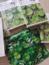 溪秀面膜女正品補水小綠盒積雪草潤顏修護蠶絲保濕 1盒5片【現(xiàn)貨速發(fā) 防偽可查】 曬單實拍圖