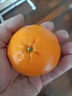 桃李村福建永春新鮮蘆柑新鮮桔子應季水果椪新柑鮮當季水果整箱過(guò)節送禮 10斤 曬單實(shí)拍圖