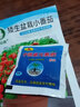 六倍利種孑七彩盆栽四季開花易種活花種子籽室內(nèi)花卉植物 （原裝彩椒50粒+肥） 曬單實拍圖