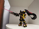 萬(wàn)代高達(dá) 模型手辦Gundam 拼插拼裝模型RG 高達(dá)玩具 MG命運(yùn)高達(dá) 曬單實(shí)拍圖