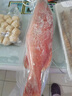 皆鄰東山島生鮮海捕東星斑 新鮮活凍 春節(jié)海鮮禮盒 石斑魚 年貨海鮮 700-800g/條 曬單實拍圖