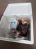 中心忠味馬肉 新鮮馬肉 散養(yǎng)現(xiàn)殺生馬肉 帶皮 不帶皮馬肉 全國順豐 5kg 曬單實(shí)拍圖