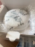 美斯尼 玻璃茶杯茶水分離水杯陶瓷過濾內(nèi)膽辦公室茶杯茶具高硼硅泡茶杯 竹格（300毫升） 曬單實拍圖