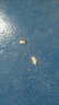 帝致水性環(huán)氧樹(shù)脂地坪漆水泥地面漆自流平耐磨地板漆室內(nèi)家用油漆 鈷藍(lán)(耐磨型) 曬單實(shí)拍圖