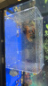蘇墨水族箱亞克力魚(yú)缸隔離盒孵化盒繁殖盒隔板箱小魚(yú)苗隔離箱 單格30*20*20（吸盤(pán)+掛鉤） 曬單實(shí)拍圖