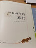 【新華書(shū)店】一粒種子的旅行 7-12歲小學(xué)生課外閱讀書(shū)籍青少年兒童文學(xué)兒童繪本故事愛(ài)心樹(shù)童書(shū) 德國兒童圖書(shū)Luchs大獎 自然科普圖畫(huà)書(shū) 一粒種子的旅行 曬單實(shí)拍圖