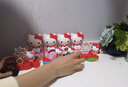 潮昇動漫 HelloKitty凱蒂貓盲盒扭蛋玩具全套裝45周年紀(jì)念版公仔手辦兒童女孩玩具積木 凱蒂貓小樂園4款全套不重復(fù)511 曬單實(shí)拍圖