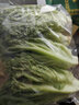 東升銀絲王白菜300g 銀絲王菜 王白菜供港蔬菜新鮮配送 曬單實拍圖