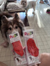 pawz狗狗雨鞋防水防臟腳套天然橡膠寵物鞋外出遛狗12只裝 一次性用品 XS - 橙色（10斤以下） 曬單實(shí)拍圖
