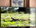 SHARP夏普電視機 4T-H50F7DA 50英寸 全面屏 4K超高清 HDR 杜比音效智能網(wǎng)絡(luò)液晶電視 50英寸 4T-H50F7DA 曬單實拍圖
