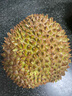 金尼堯貓山王榴蓮馬來(lái)西亞D197液氮冷凍水果AA級精選 4.5-5.0斤【保5房 美味分享】 曬單實(shí)拍圖