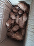 粵品沙姜新鮮正宗廣東茂名高州化州特產(chǎn)沙姜白切雞配料 三奈香料調(diào)味 沙姜2斤 曬單實拍圖