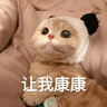 萬(wàn)用職場(chǎng)英語(yǔ)900句（附光盤(pán)） 曬單實(shí)拍圖
