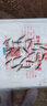 彌翠園加州鱸魚(yú)苗淡水養殖大口黑鱸路亞兇猛肉食優(yōu)鱸3號批發(fā)鱸魚(yú)苗 50條4-6厘米鱸魚(yú)苗送10%防損 曬單實(shí)拍圖