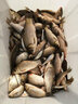 卸力線組斑點(diǎn)釣魚線套裝全套主線正品綁好超強(qiáng)拉力鯽魚主線組成品 5.4米卸力子線夾(單迷彩鉛 3卷裝) 1.5# 曬單實(shí)拍圖