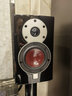 達尼（DALI） Menuet皇太子6代 hifi高保真書架音響 2.0聲道家用桌面無源音箱se 歐尼士RA125+皇太子(備色) 曬單實拍圖