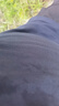 Marc O'Polo/MOP 夏季新款圓領(lǐng)森柔棉透氣吸汗純色夏裝短袖T恤男 黑色990 L 曬單實(shí)拍圖