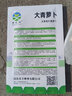 沙窩蘿卜種子甜脆水果青蘿卜籽庭院盆栽秋播蘿卜蔬菜種子大全 青 大青蘿卜種子【1包 約500粒】 曬單實(shí)拍圖