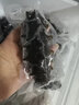 昊海升 大連冷蒸即食海參禮盒 冷凍鮮食海參 獨(dú)立包裝開袋即食 遼刺參 500g 7-9只/斤 曬單實(shí)拍圖