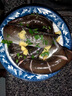 海鰻魚(yú)切片鮮活飯蒲燒海鮮水產(chǎn)鮮活廣東潮汕烤河鰻廣東烏耳鰻魚(yú) 鰻魚(yú) 一條約2斤（鰻魚(yú)切圈） 曬單實(shí)拍圖