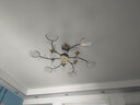 華冠之光 客廳燈吊燈LED臥室餐廳燈2025款燈具大全屋三室兩廳燈具套餐智能 套餐5-三室一廳-全屋智能帶遙控 曬單實拍圖