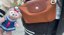 瓏驤（longchamp）瓏驤（LONGCHAMP）LE PLIAGE手提包化妝包禮物送女友干邑色 曬單實(shí)拍圖