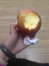 特級大沙河紅富士蘋(píng)果徐州豐縣脆甜新鮮孕婦野生水果冰糖心丑萍果 9斤【現摘現發(fā)】 80mm-85mm【17-19個(gè)果子】 曬單實(shí)拍圖
