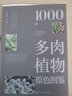 1000種多肉植物原色圖鑒 曬單實(shí)拍圖