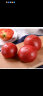 古寨山 山东普罗旺斯西红柿 新鲜沙瓤生吃番茄  新鲜蔬菜 4.5斤精选装 实拍图
