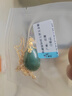 豆蔻時光收藏級和田碧玉吊墜天然菠菜綠水滴18K黃金項鏈足金鑲玉墜女士款 曬單實拍圖