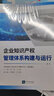 企業(yè)知識產(chǎn)權管理體系構建與運行 曬單實(shí)拍圖