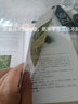 【官方正版】中草藥彩色圖譜 精裝(第五版)中草藥彩圖大全書 草藥書圖解大全中草藥全圖鑒百草圖鑒配方書教材本草綱目神農(nóng)本草經(jīng)中醫(yī)學(xué)養(yǎng)生書籍 【精裝厚本】中草藥彩色圖譜（1119頁） 曬單實拍圖