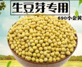 以琛發(fā)豆芽專(zhuān)用小粒黃豆種子生黃豆芽豆做納豆農家自種690小金黃5斤裝 小粒黃豆1斤500g 曬單實(shí)拍圖