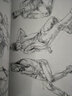 人物速寫高分沖刺 曬單實(shí)拍圖