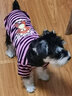Ninkin 純棉狗狗衣服小型犬春秋T恤泰迪比熊雪納瑞法?？禄透缛合囊路?綠條抱抱熊 L-建議15-20斤穿 曬單實(shí)拍圖